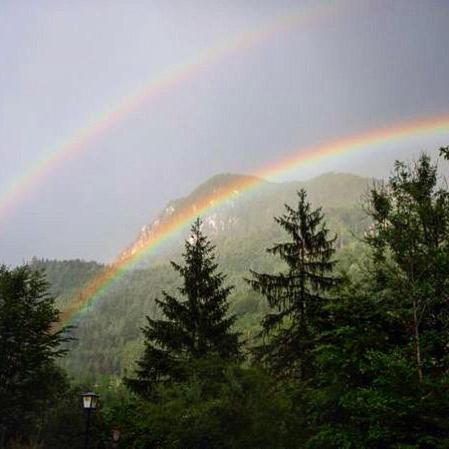 Camping Und Chalet Saggraben Palfau Dış mekan fotoğraf